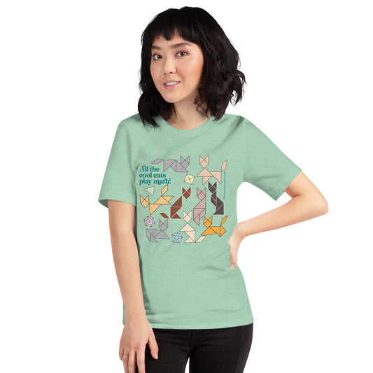 Cool Cats Play Math t-shirt